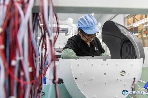 江都寵物用品邁向智能化，引領全球市場新潮流