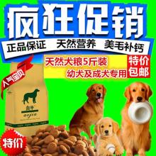 平陽意而思寵物用品廠 專業(yè)打造優(yōu)質(zhì)寵物項圈與配件