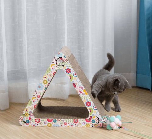 創(chuàng)新紙板寵物玩具，引領綠色產(chǎn)業(yè)新風尚，年產(chǎn)值突破數(shù)千萬